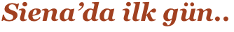 Siena’da ilk gün..